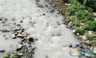 吉林永吉惊现牛奶河 环保部门已介入调查