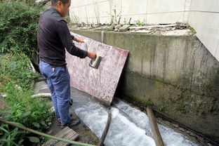 黄柏河东支流域开展节前水污染防治联合执法行动
