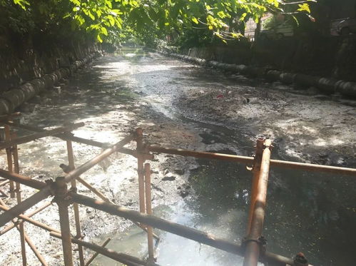 叮 这是东莞水污染治理的答卷,请您阅卷