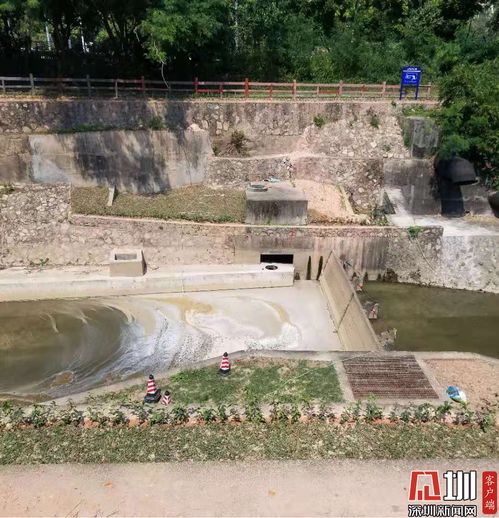 暗涵 重见天日 深圳水污染治理啃下 硬骨头