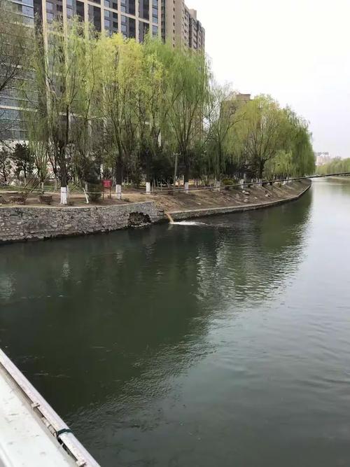 治理水污染 水污染治理 从危机到可持续的路径探索